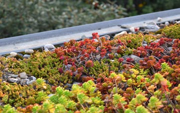 the cost of Bokiddick green roof installation