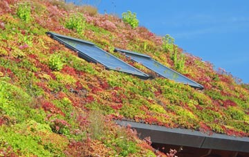 Bokiddick living roof systems